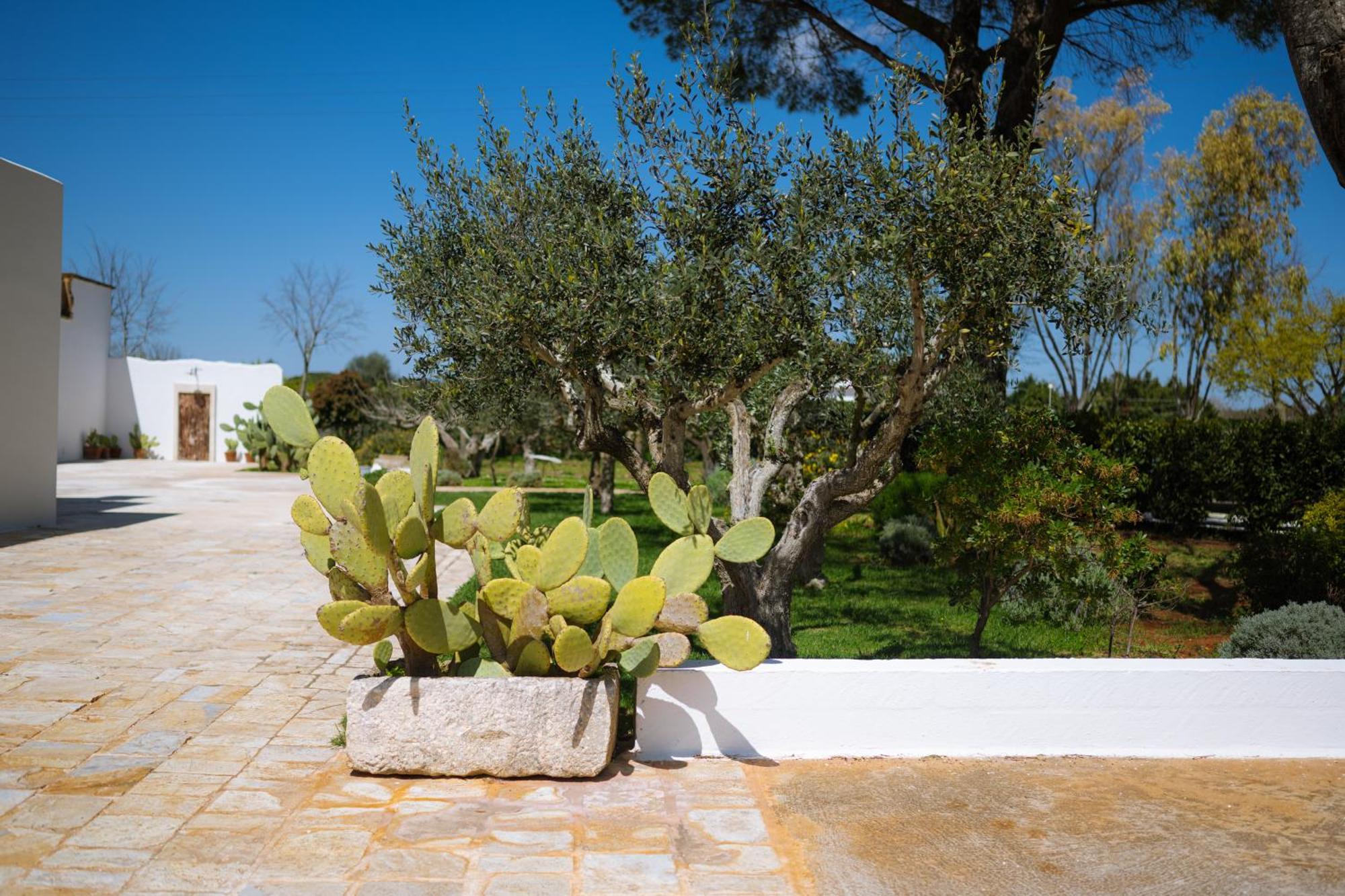 Masseria San Michele Martina Franca Esterno foto